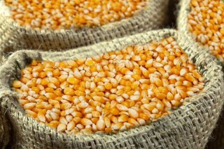 Lubumbashi : Le sac de farine de maïs passe de 14.000 FC à 30.000 FC en l'espace de deux jours